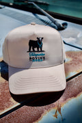 TBJ Trucker hat